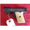 Image 2 : RAVEN ARMS MP-25/H/25