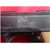 Image 6 : RAVEN ARMS MP-25/H/25