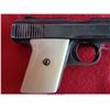 Image 7 : RAVEN ARMS MP-25/H/25