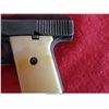 Image 8 : RAVEN ARMS MP-25/H/25