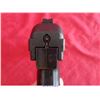 Image 10 : HI-POINT .45 JHP