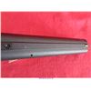 Image 12 : HI-POINT .45 JHP