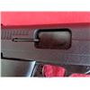 Image 9 : HI-POINT .45 JHP