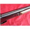 Image 19 : ROSSI .410 SHOTGUN