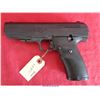 Image 2 : HI-POINT .45 JHP