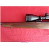 Image 11 : REMINGTON 700