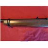 Image 11 : RUGER 10-22