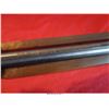 Image 14 : RUGER 10-22