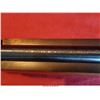 Image 15 : RUGER 10-22