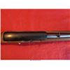 Image 16 : RUGER 10-22