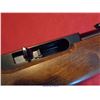 Image 17 : RUGER 10-22