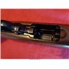Image 18 : RUGER 10-22