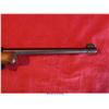 Image 9 : RUGER 10-22