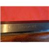 Image 20 : CONNECTICUT VALLEY ARMS MUZZLELOADER
