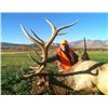 Image 10 : Discounted Guided Colorado Elk Hunt in the Elk Capitol of the World, Craig Colorado 2018 or 2019