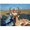 Image 22 : Discounted Guided Colorado Elk Hunt in the Elk Capitol of the World, Craig Colorado 2018 or 2019