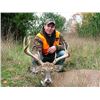 Image 6 : Guaranteed Iowa or Missouri Semi-Guided on Private farms Whitetail Hunt Free Ranging Whitetails