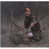 Image 9 : Discounted Private Land Mule Deer Hunt for 2018/2019