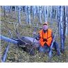 Image 11 : Discounted Semi-Guided Colorado Elk Hunt from a Cabin with free Pack out of elk to the cabin