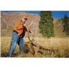 Image 12 : Discounted Semi-Guided Colorado Elk Hunt from a Cabin with free Pack out of elk to the cabin