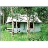 Discounted Semi-Guided Colorado Elk Hunt from a Cabin with free Pack out of elk to the cabin