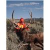 Image 9 : Discounted Semi-Guided Colorado Elk Hunt from a Cabin with free Pack out of elk to the cabin