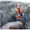 Image 13 : Discounted Elk Hunting Lodge for 4-6 hunters w/3000 private acres in GMU421 SW Colorado/ATVs