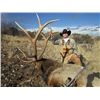 Image 15 : Discounted Elk Hunting Lodge for 4-6 hunters w/3000 private acres in GMU421 SW Colorado/ATVs