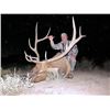 Image 18 : Discounted Elk Hunting Lodge for 4-6 hunters w/3000 private acres in GMU421 SW Colorado/ATVs