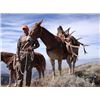 Image 10 : Discounted 2 Hunters Auction price each Colorado Guided elk huntw/M& L/1 hour horseback in AM & PM