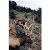 Image 12 : Discounted 2 Hunters Auction price each Colorado Guided elk huntw/M& L/1 hour horseback in AM & PM