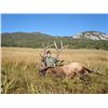 Image 15 : Discounted 2 Hunters Auction price each Colorado Guided elk huntw/M& L/1 hour horseback in AM & PM