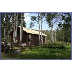 Discounted 2 Hunters Auction price each Colorado Guided elk huntw/M& L/1 hour horseback in AM & PM