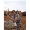 Image 24 : Discounted Sand Hills & Corn Mule Deer Hunt Guided, Meals & Lodging Low Impact 100% Success