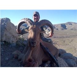 Discounted California Hunts for Tule Elk, Hogs, Blacktail, Varmit, Birds, Auction Aoudad Ram