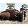 Image 8 : Discounted California Hunts for Tule Elk, Hogs, Blacktail, Varmit, Birds, Auction Aoudad Ram