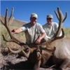 Image 4 : Discounted Elk Grand Slam prized California Rare Tule Elk only 1 available/Get your last elk SLAM
