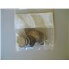 Image 1 : LOT, MISC COINS