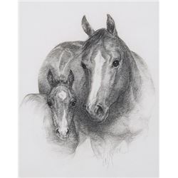 Miller, Vel - Mare and Colt