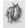 Image 1 : Miller, Vel - Mare and Colt