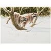 Image 1 : Browning, Tom - Raccoons