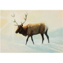 Touraine, Emilie - Backlit Elk