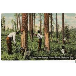 BLACK AMERICANA POSTCARD