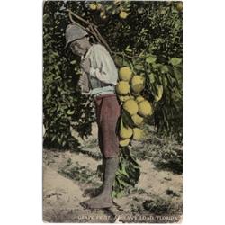 BLACK AMERICANA FLORIDA POSTCARD