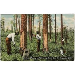 BLACK AMERICANA POSTCARD