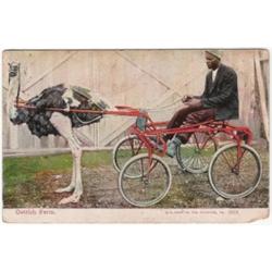 BLACK AMERICANA POSTCARD