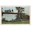 Image 1 : BLACK AMERICANA FLORIDA POSTCARD