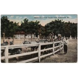 BLACK AMERICANA FLORIDA POSTCARD