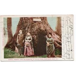 GENERAL FREMONT POSTCARD