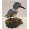 Image 2 : WARD, ZACK KINGFISHER WOOD CARVING